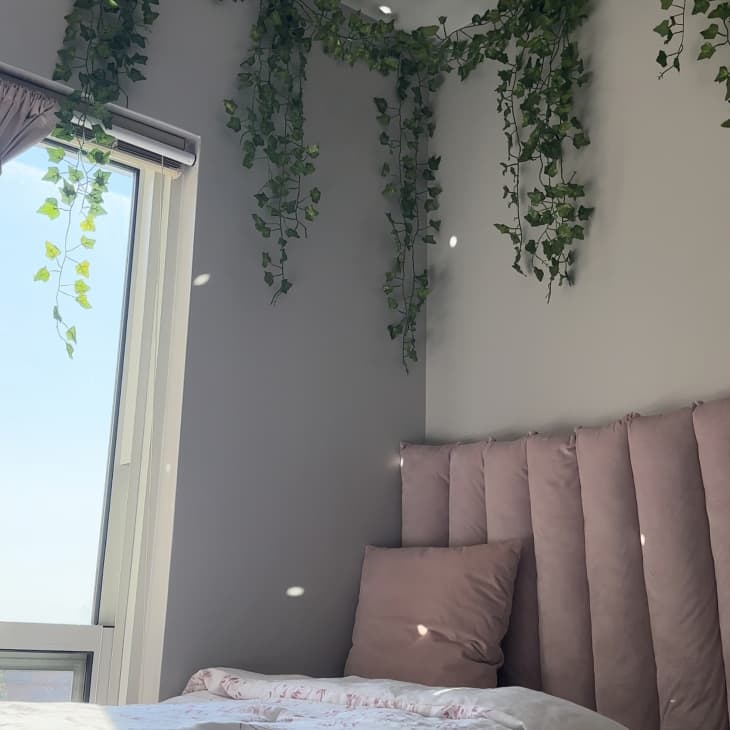 A bed with a pink head board and decorative ivy hangs down.