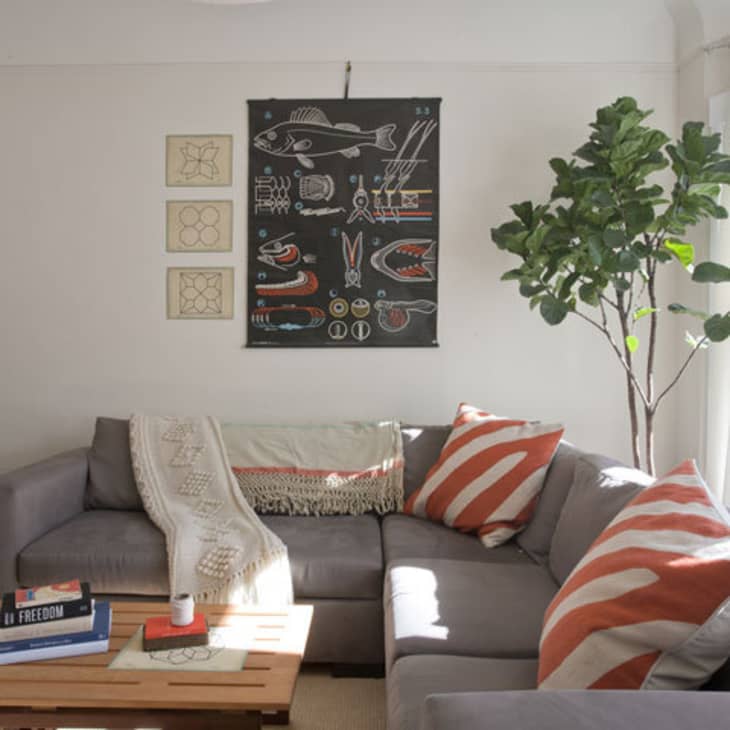 Gray sectional sofa with orange-striped pillows, a wooden coffee table, wall art, and a large potted plant in a bright living room.