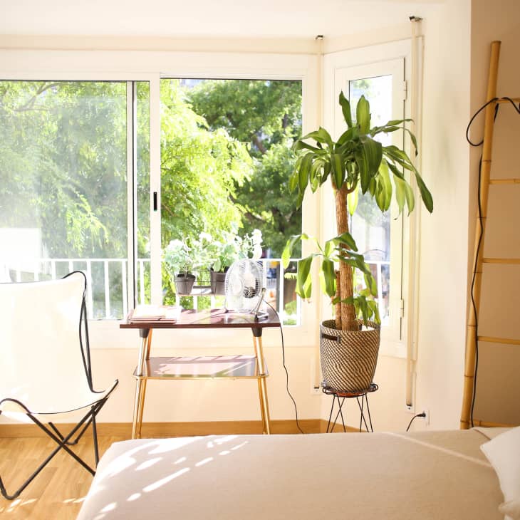 Bright bedroom with large windows, a butterfly chair, potted plant, and a small desk with books and a lamp.
