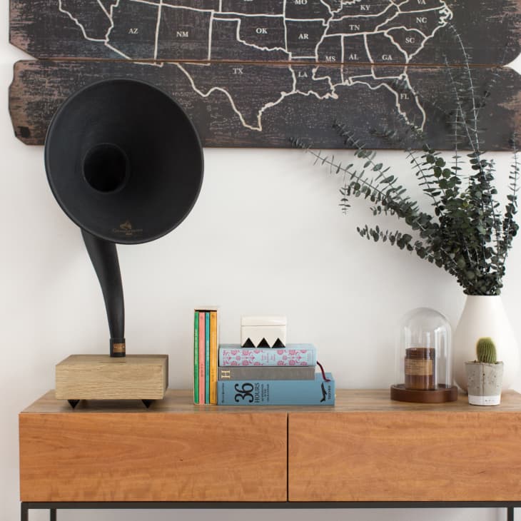 Wooden console table with a gramophone, books, a vase with greenery, and a cactus, beneath a U.S. map wall art.