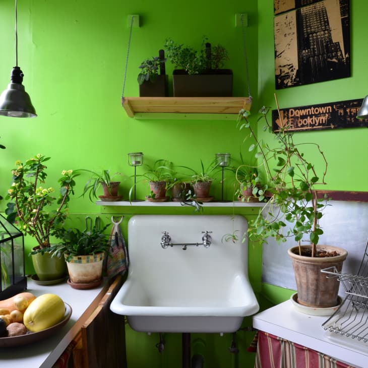 Green kitchen with potted plants, a white sink, fruit bowl, and metal dish rack under industrial pendant lights.