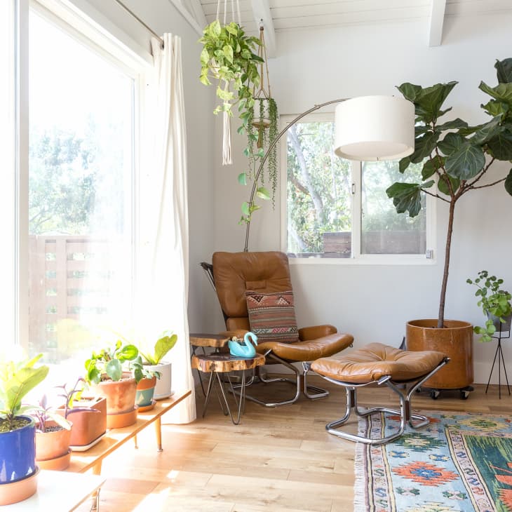 Living room with leather chair, potted plants, large window, and colorful rug.