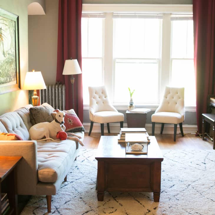 Cozy living room with a dog on a sofa, two white chairs, a piano, and red curtains.
