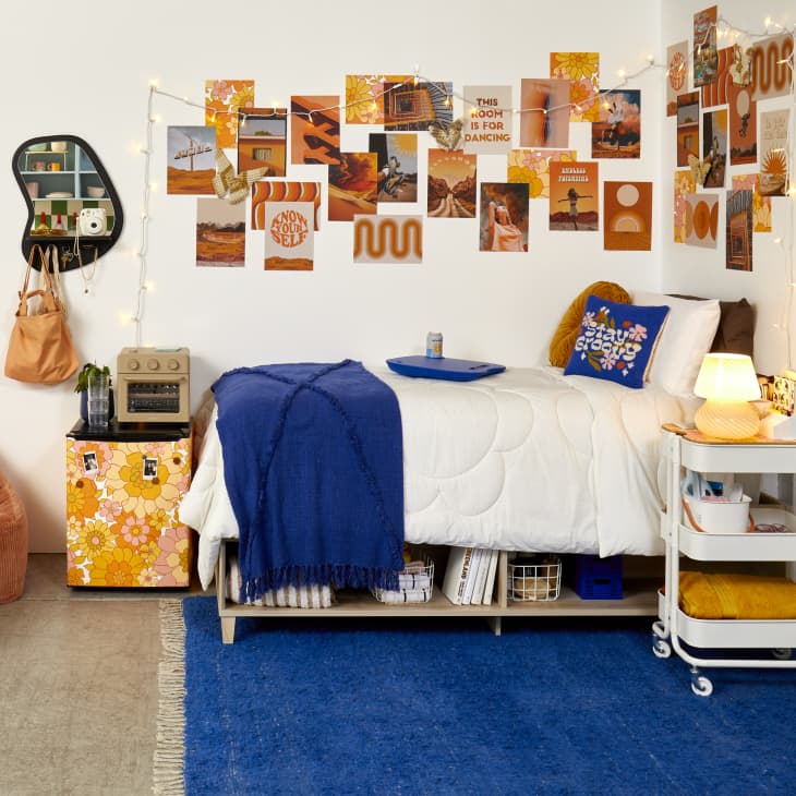 Cute Dorm Room Mini Fridges