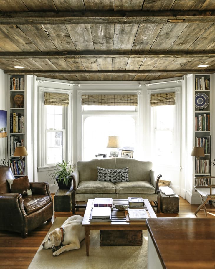 Cozy living room with rustic wood ceiling, leather armchair, gray sofa, bookshelves, and a dog resting on a rug.