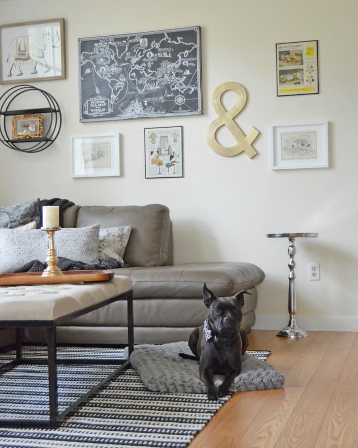 Living room with gray sectional sofa, wall art, striped rug, and a black dog on a cushion.