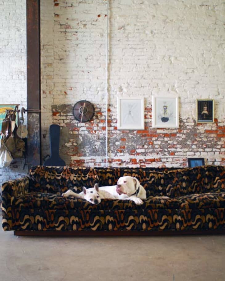 Two dogs lounging on a patterned sofa in a loft with exposed brick walls and framed art.