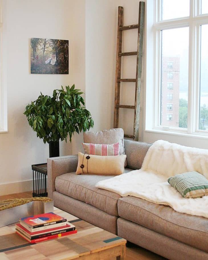 Cozy living room with a gray sofa, decorative pillows, a ladder, potted plant, and a stack of books on a wooden table.
