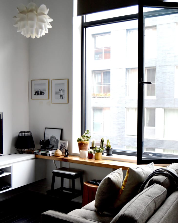 Living room with a large window, gray sofa, potted plants on a wooden shelf, and framed photos on the wall.