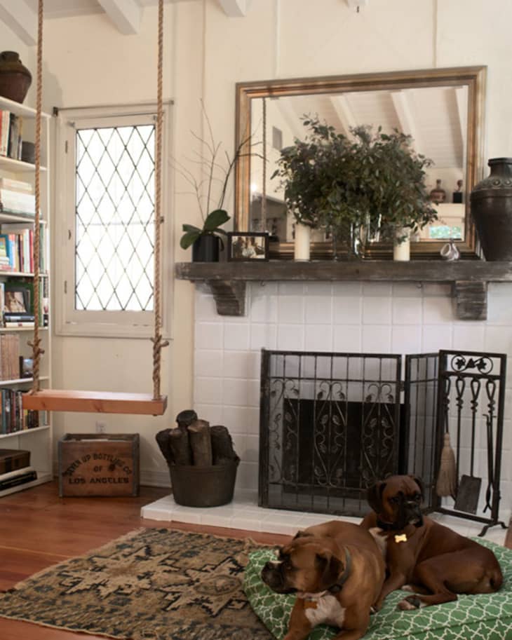 Living room with a fireplace, two dogs on a green cushion, a wooden swing, and a bookshelf.