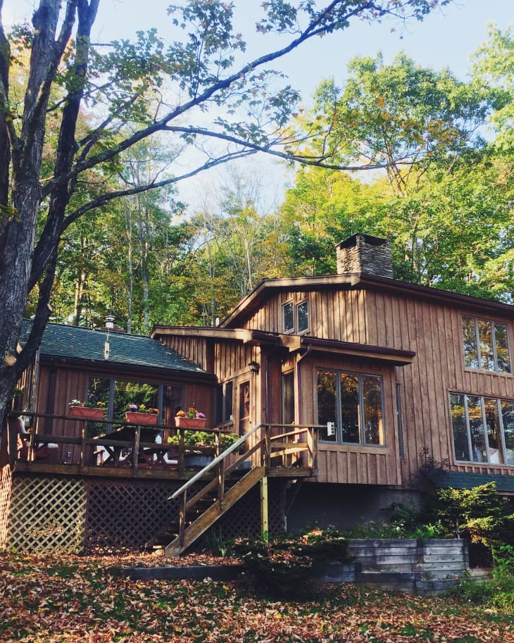 Wooden cabin with large windows, surrounded by trees, featuring a deck with potted plants and a staircase.