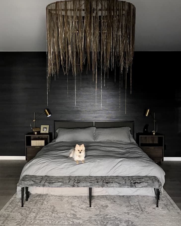 Bedroom with dark walls, large chandelier, gray bedding, and a small dog on the bed.