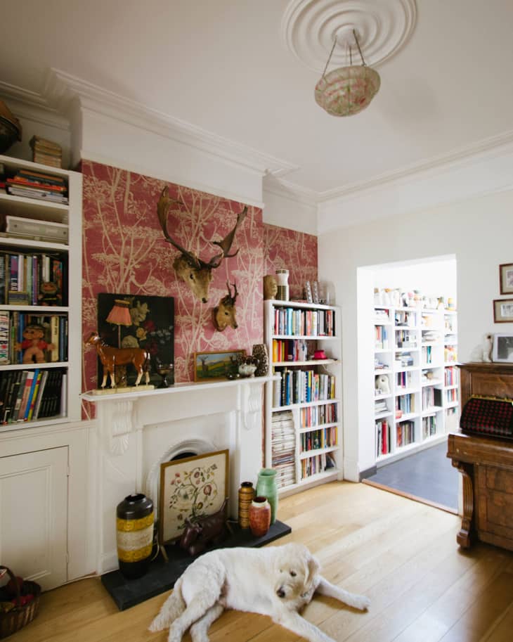 Living room with red patterned wallpaper, bookshelves, a white dog on wooden floor, and decorative deer heads above the fireplace.