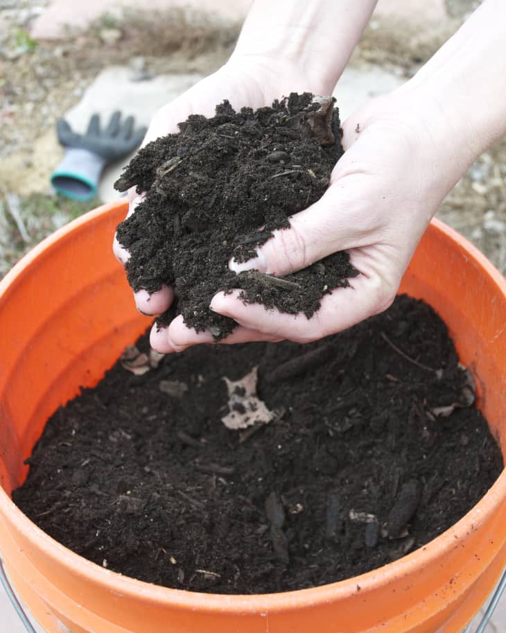 The 4 Best Compost Bins of 2023, Tested by Food & Wine