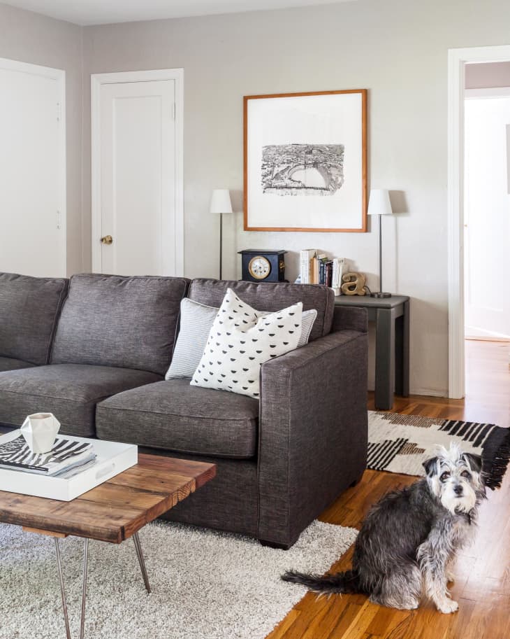Gray sofa with patterned pillows, wooden coffee table, and a dog on a rug in a cozy living room.