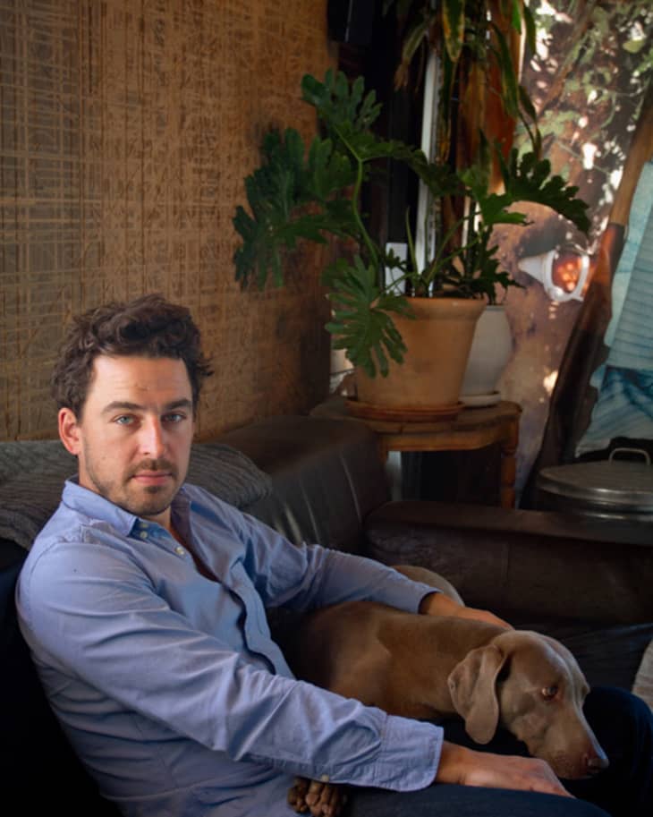 Man in a blue shirt sitting on a sofa with a brown dog, large potted plant in the background.