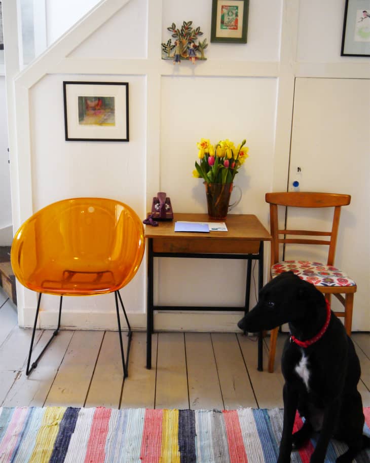 Cozy room with a yellow chair, wooden table, tulips, colorful rug, and a black dog sitting on the floor.