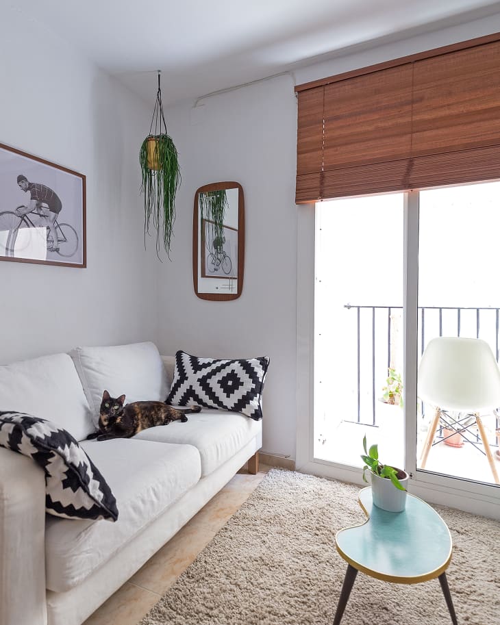 Cozy living room with a white sofa, geometric pillows, a cat, hanging plant, and a small table with a potted plant.
