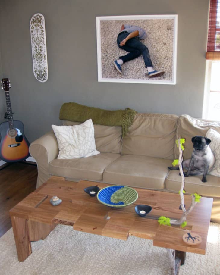Living room with beige sofa, pug, wooden coffee table, guitar, and wall art.