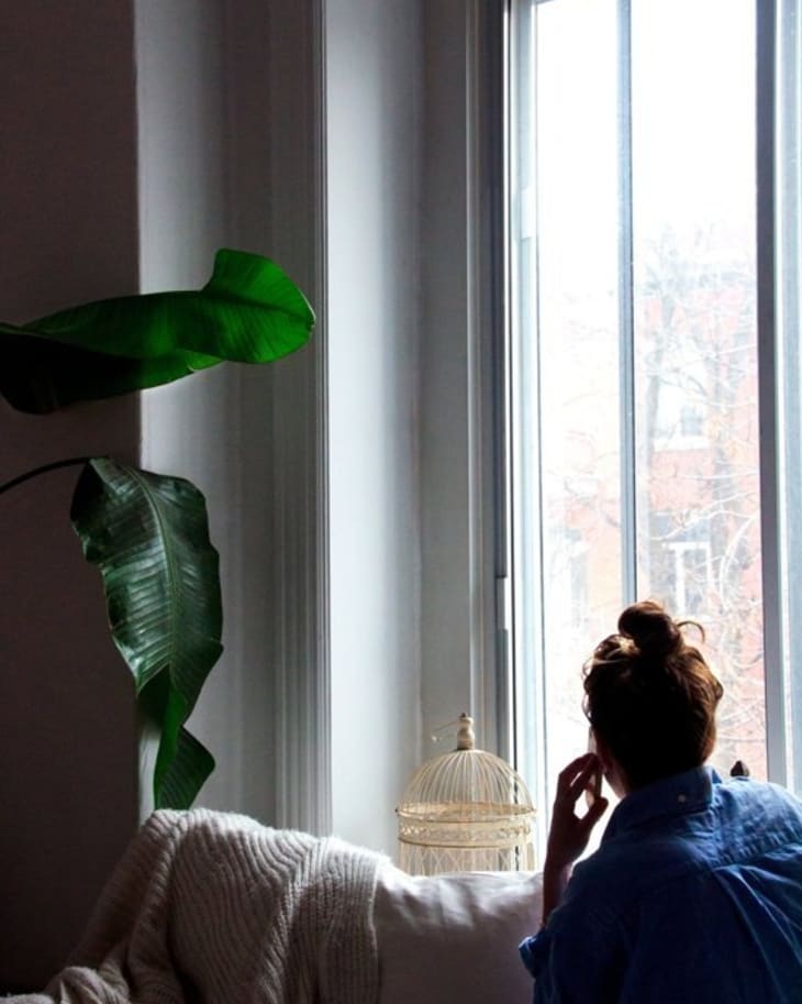 Woman in blue shirt sitting by a window, next to a large plant and a birdcage, looking outside.