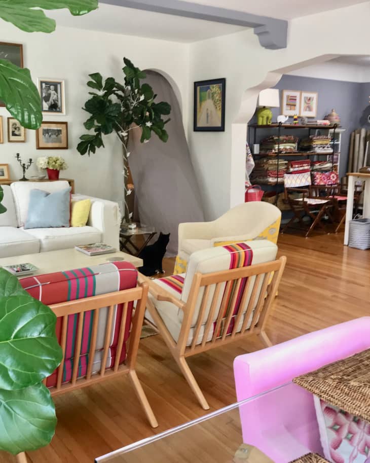 Living room with white sofa, colorful striped chairs, large plant, framed art, and a shelf with books and decor.