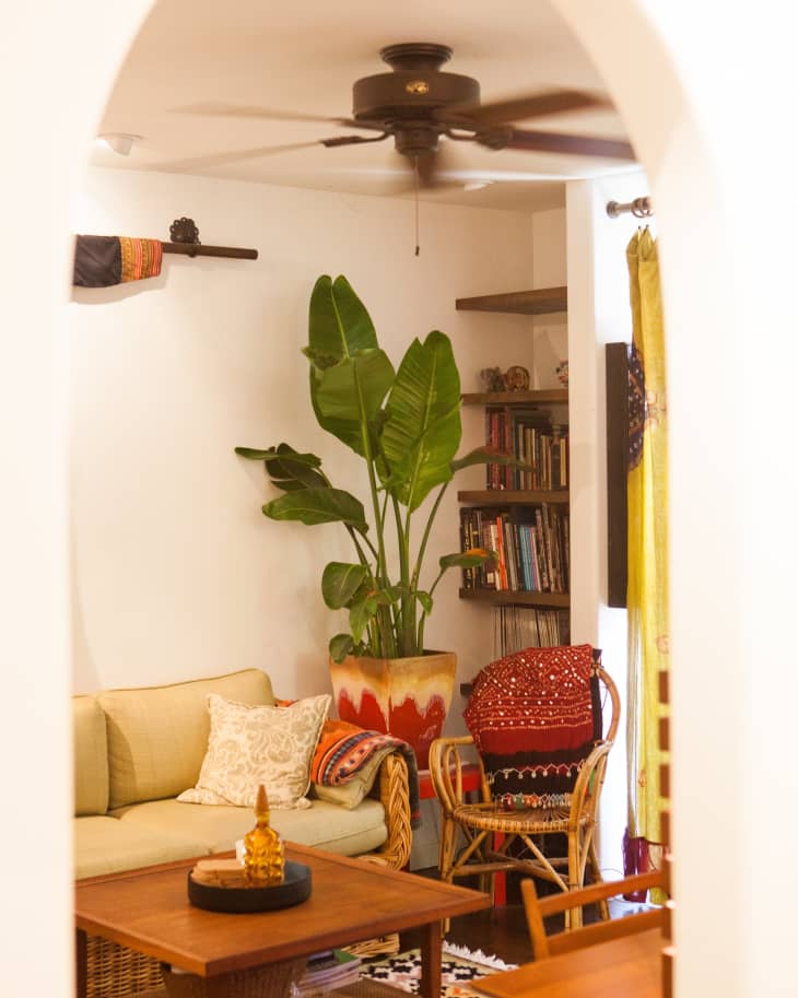 Cozy living room with a ceiling fan, green plant, beige sofa, colorful cushions, wooden coffee table, and bookshelves.