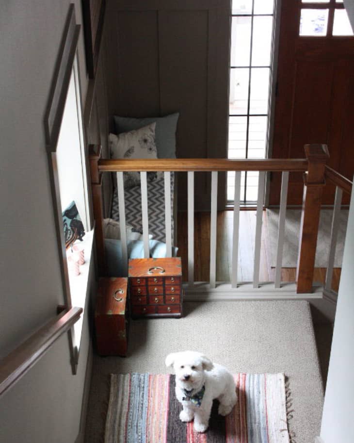Small white dog sitting on a striped rug at the top of a carpeted staircase with wooden railing and decorative boxes.