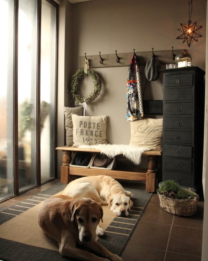Two dogs resting on a rug in a cozy entryway with a wooden bench, wreath, and star-shaped light fixture.