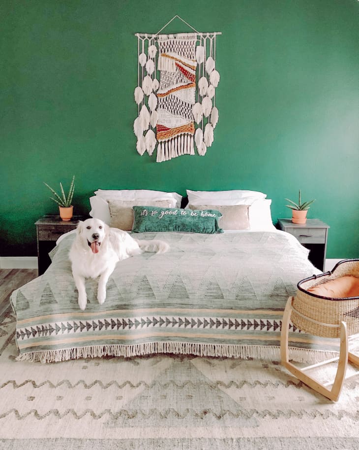 Bedroom with green accent wall, macramé art, a large bed, a white dog, and a woven baby bassinet.