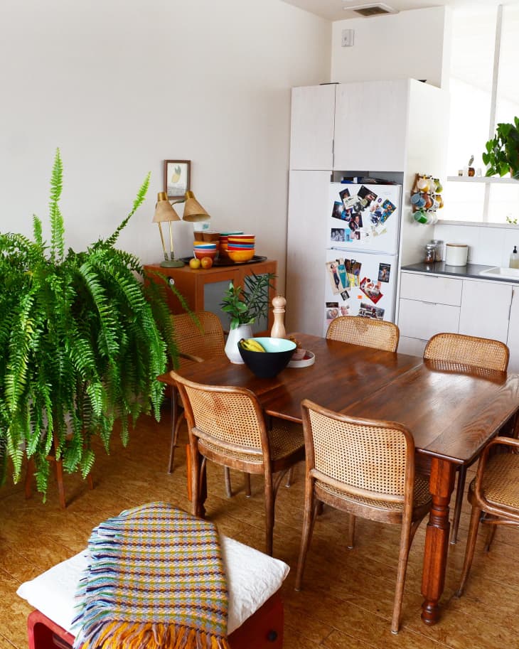 Dining area with wooden table, wicker chairs, large fern, colorful bowls, and a fridge covered in photos.