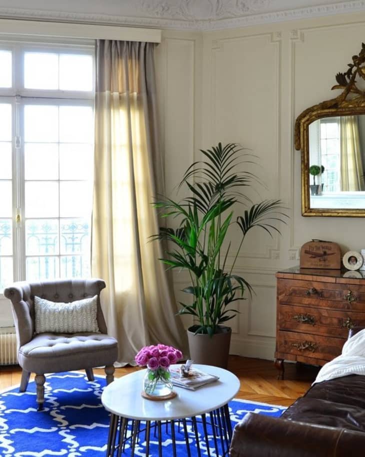 Elegant living room with a tufted chair, blue patterned rug, potted plant, and vintage dresser under a gold-framed mirror.