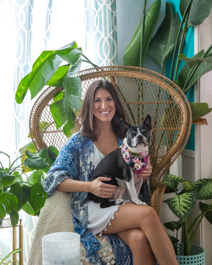Woman in a wicker chair holding a Boston Terrier, surrounded by lush green plants and patterned curtains.