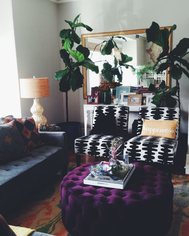 Living room with patterned chairs, purple ottoman, large mirror, and potted plants.