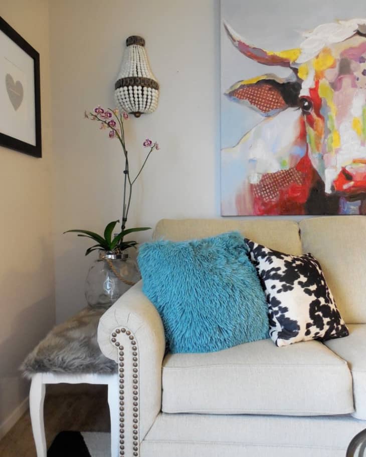 Beige sofa with blue and cow-print pillows, next to a side table with an orchid and a colorful cow painting above.