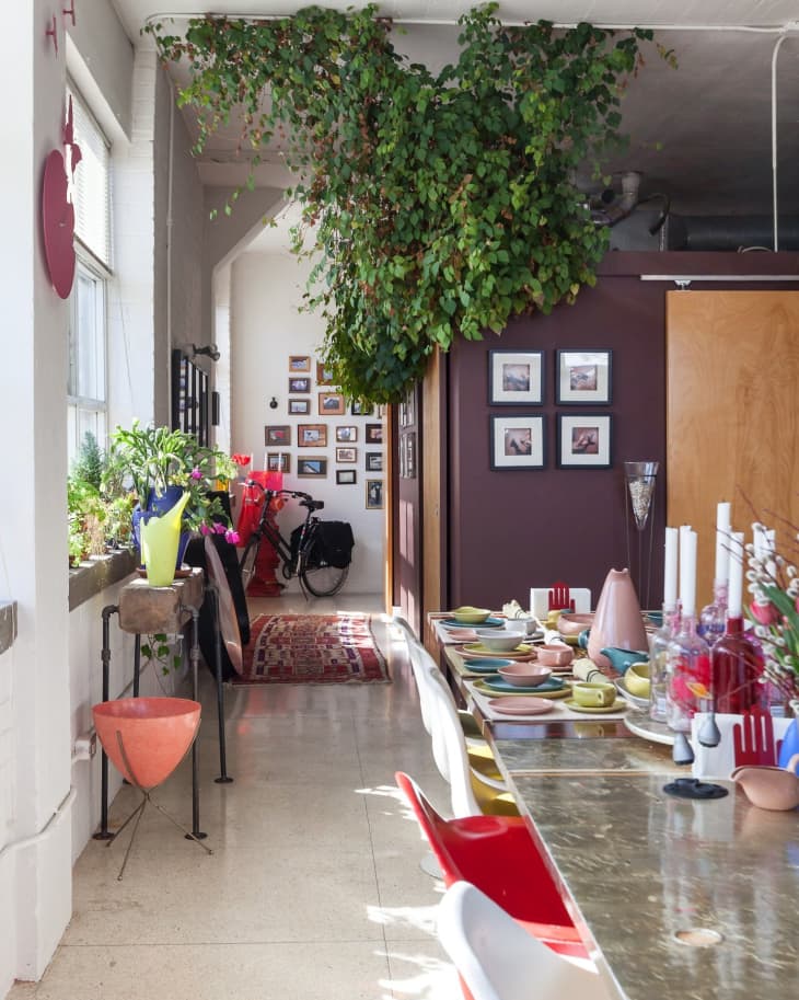 Dining area with colorful chairs, a long table set with dishes, hanging plants, and framed photos on the wall.