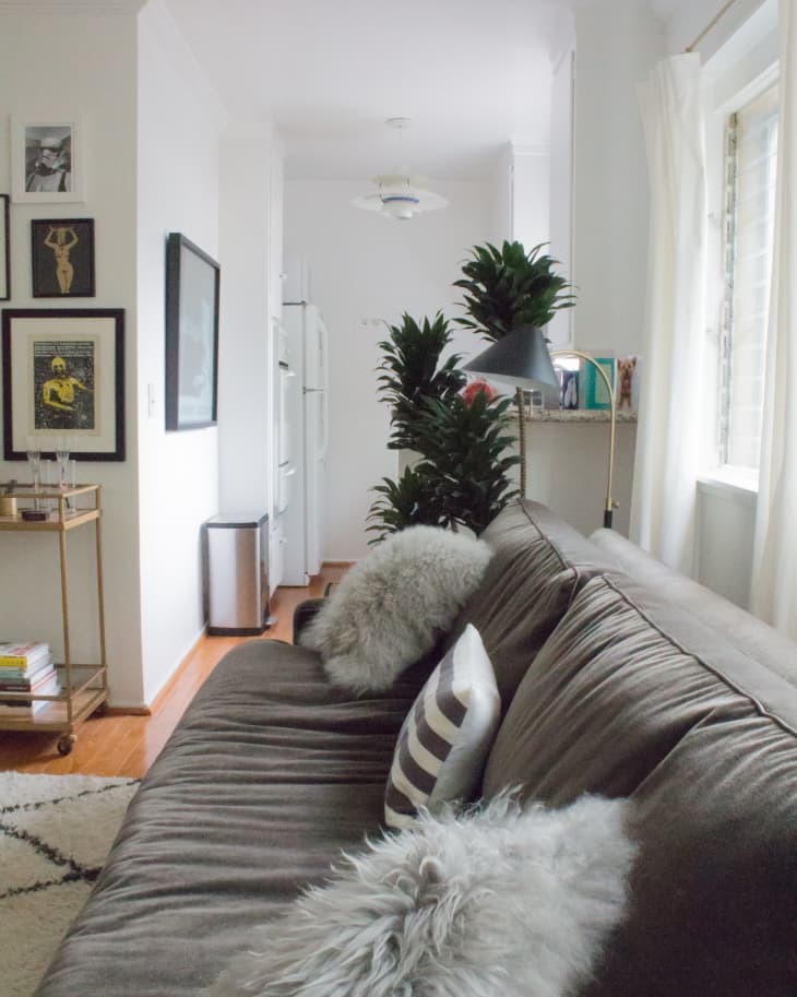 Gray sofa with fluffy pillows, striped cushion, and wall art in a cozy living room with plants and a view into the kitchen.