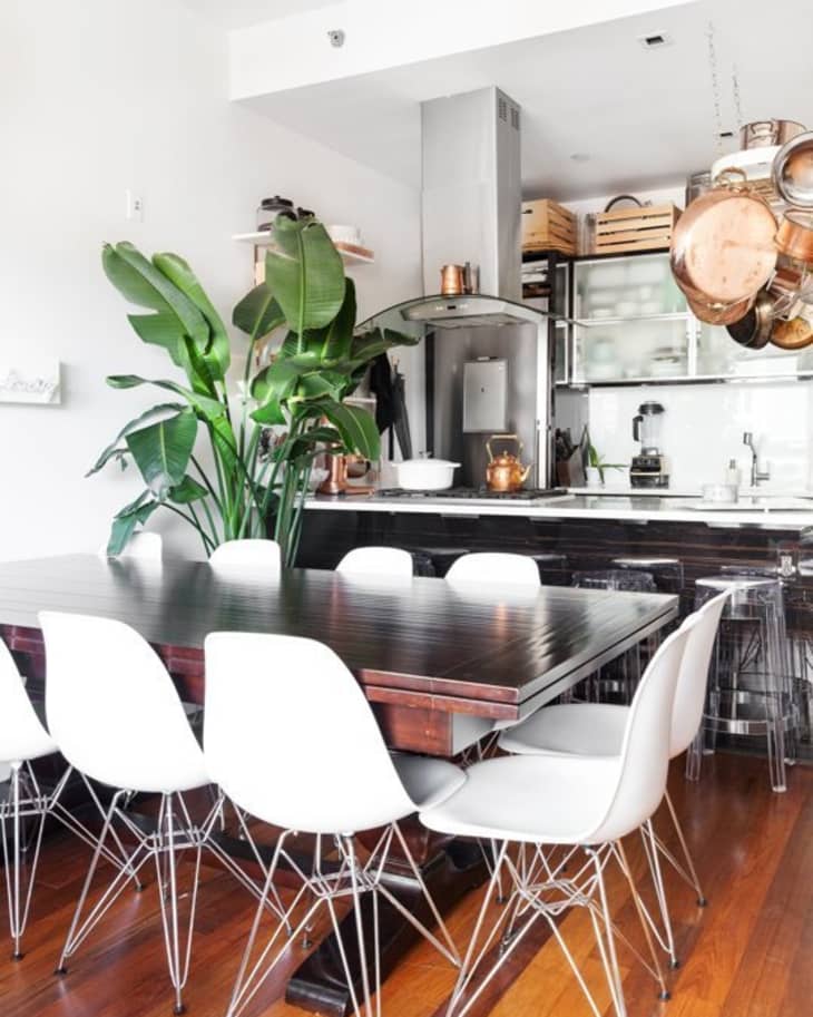 Dining room with a dark wooden table, white chairs, large green plant, and a kitchen with hanging copper pots.