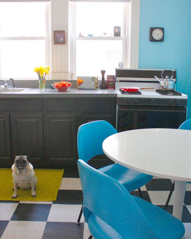 blue-kitchen-pug