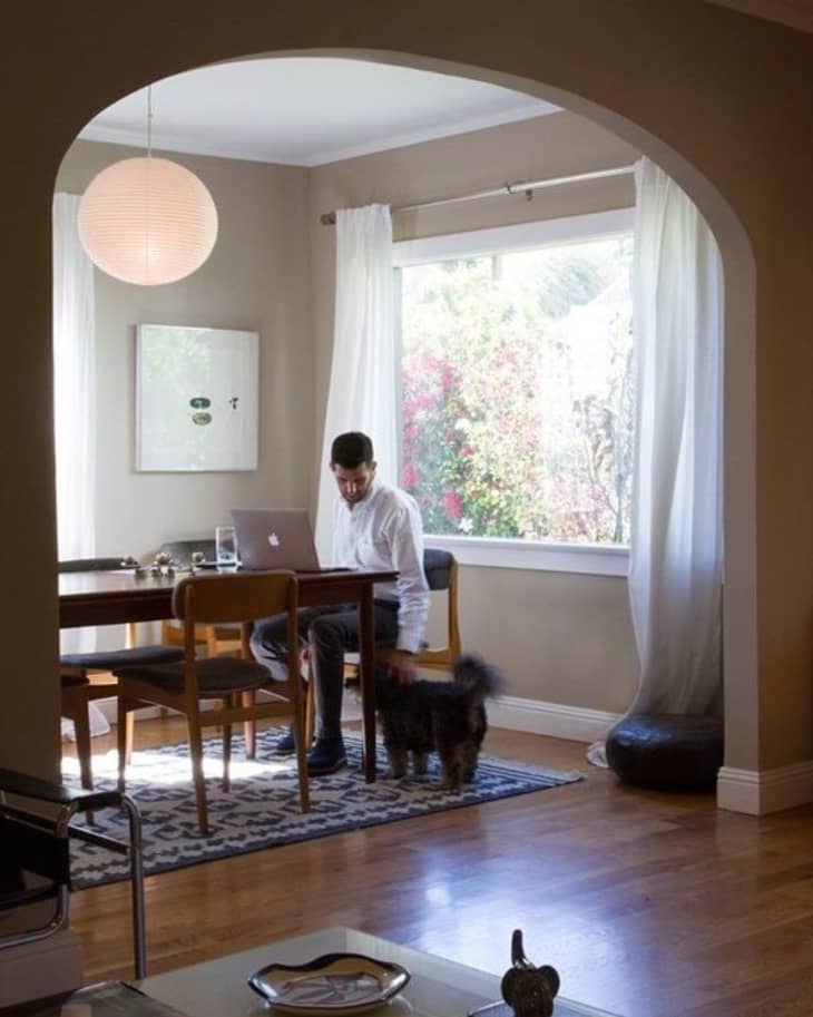 Man working on a laptop at a dining table with a dog nearby, under a round pendant light, near a large window with sheer curtains.