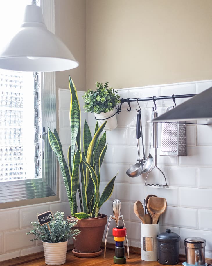 hanging plant containers Hanging Planter for Plants With Attached Drip Tray, Indoor Outdoor Pot Unique Gift, Patio Decor, Cottagecore Decor, Entryway, Ribbed Bubble Rainbow / main image 0