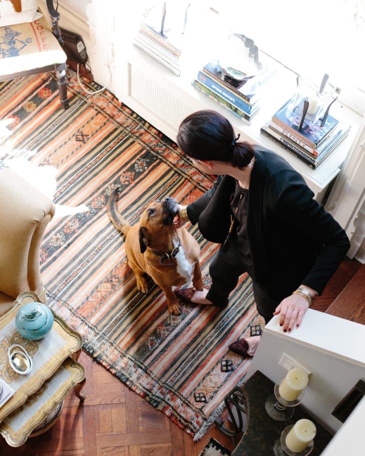 Person in black outfit petting a brown dog on a colorful striped rug, next to a stack of books and candles.