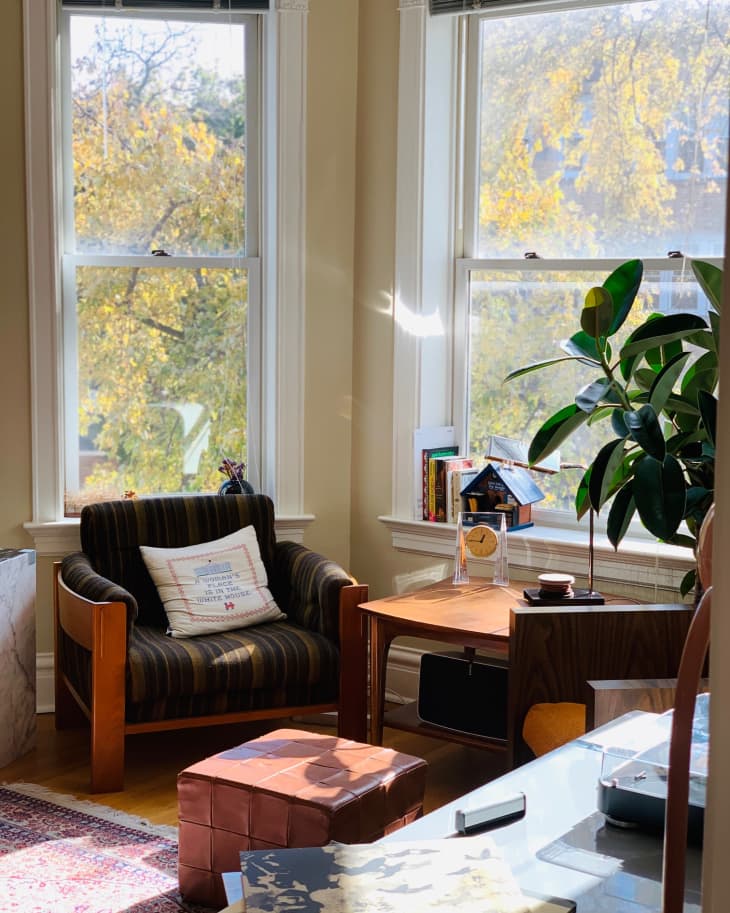 Cozy living room with striped armchair, leather ottoman, wooden side table, and large plant by sunlit windows.