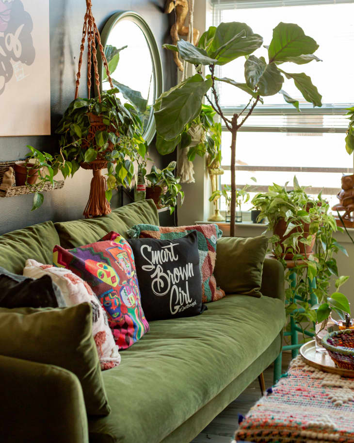 Green velvet sofa with colorful throw pillows, surrounded by plants. Light shining through window