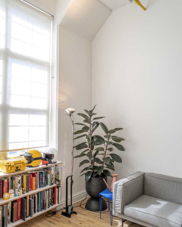 Minimal corner of a light-filled modern loft, featuring a shelf of books, a gray sofa, and a rubber tree plant.