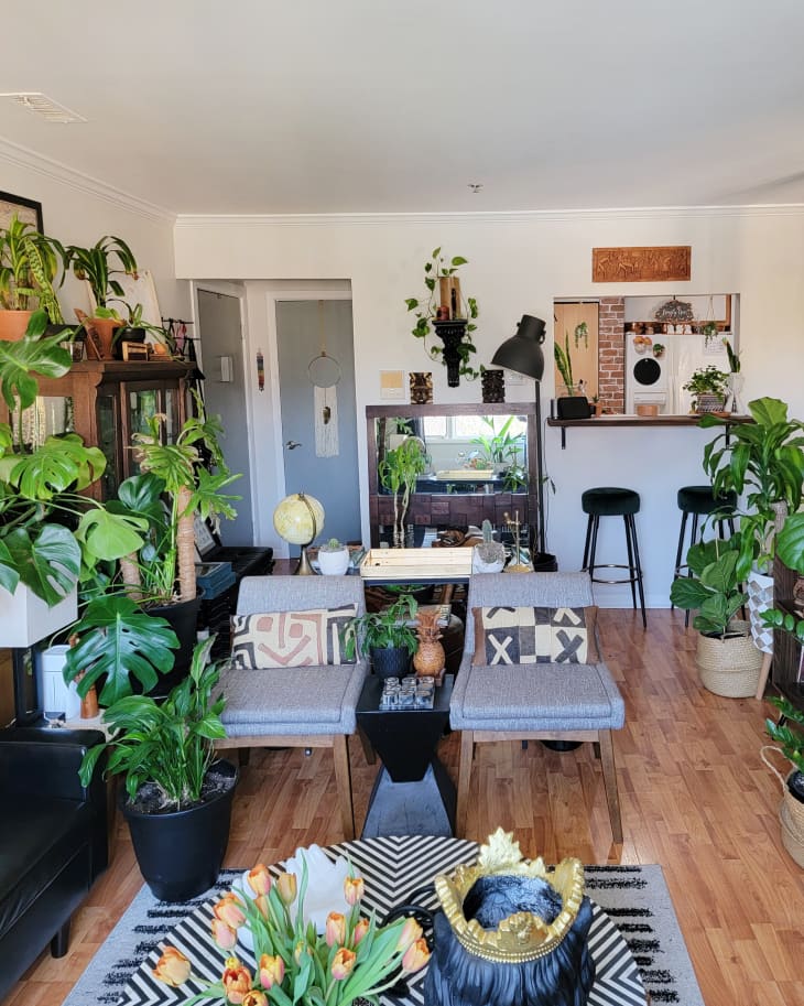 Living room with wooden floor, gray chairs, patterned cushions, numerous potted plants, and a round table with tulips.
