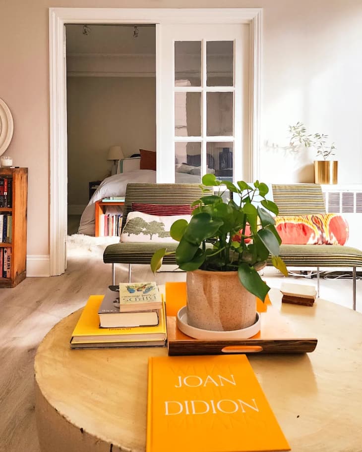 Light filled living room with coffee table topped with books and potted plant across from small vintage love seat.