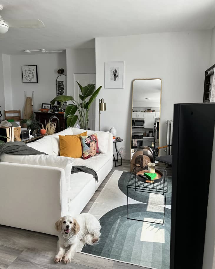 living room with white walls, white sofa with gold throw pillow, frida kahlo throw pillow, whote rug with 60s/70s looking blue arch design, grate black coffee table, full length mirror leaning on wall, dog in the foreground
