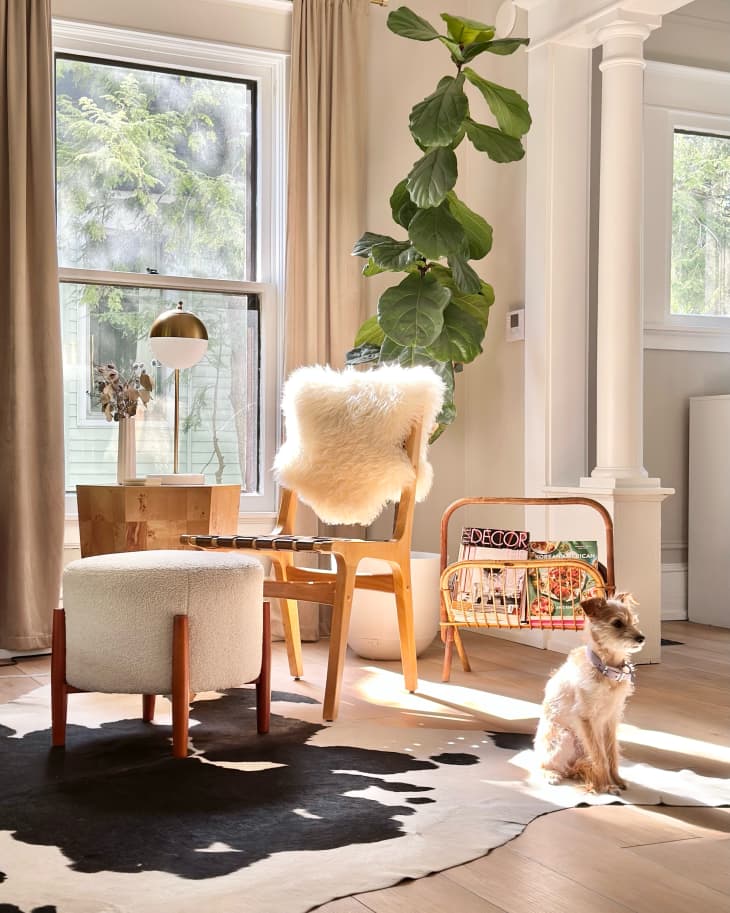 cow hide rug, wood floors, wood chair with white fur throw, white ottoman with wood legs, window, natural light, pillar archway, dog, bamboo magazine rack, desk lamp, floor plant, lavender bouquet