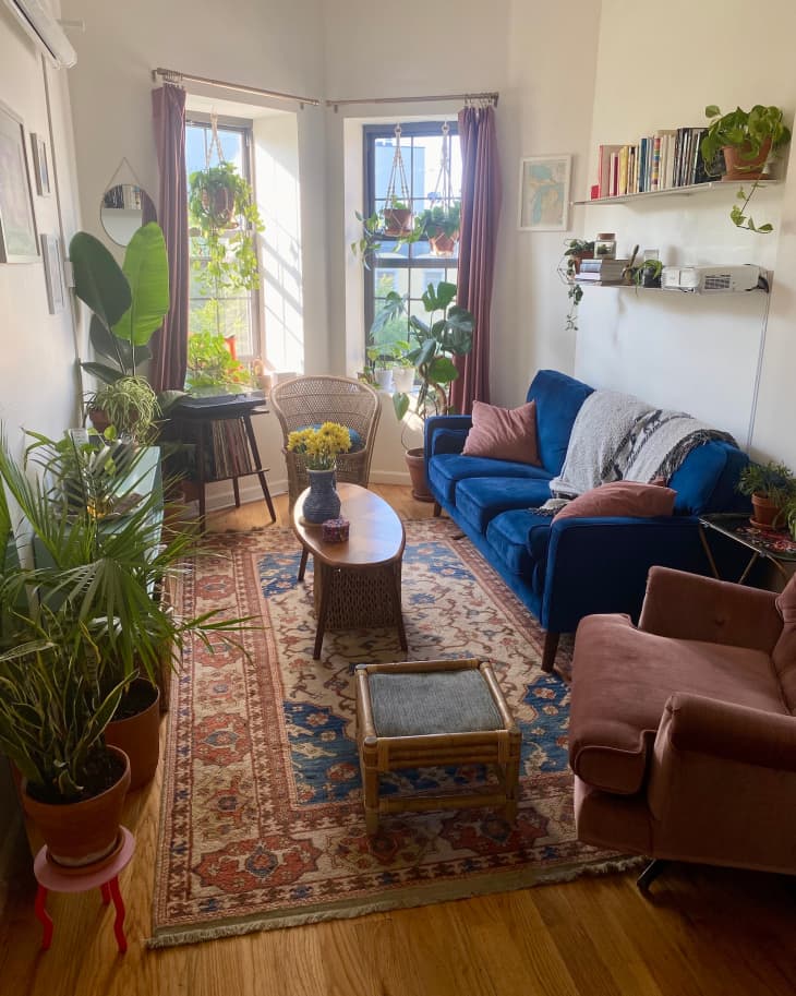 Narrow plant filled living space with blue suede sofa and mauve armchair.