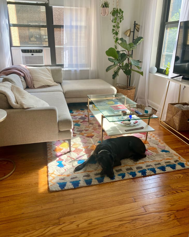 Living room with colorful rug and grey sectional in studio apartment.
